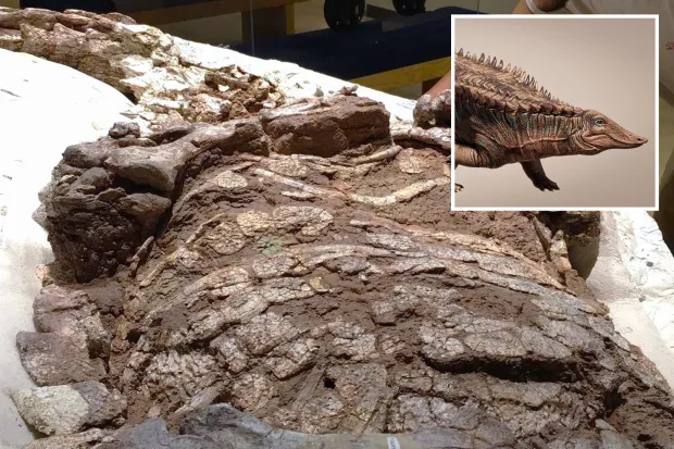 Ancient Texas Discovery: Prehistoric “Tank” Found, Revealing Crocodile Relative from 215 Million Years Ago