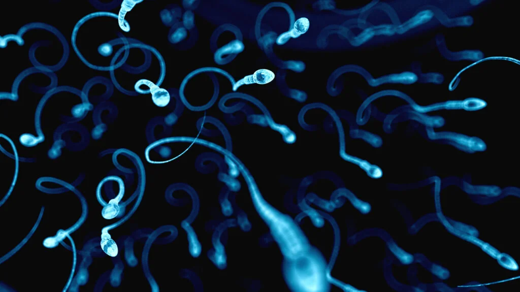 Redefining Physics: Human Sperm and Other Microswimmers Challenge Traditional Laws